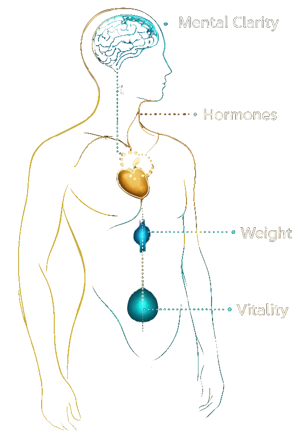 Integrated wellness — Mental Clarity, Hormones, Weight, and Vitality zones